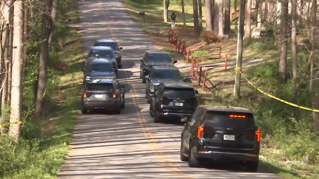Children playing near creek discover skull, nearly 50 human bones uncovered, coroner says