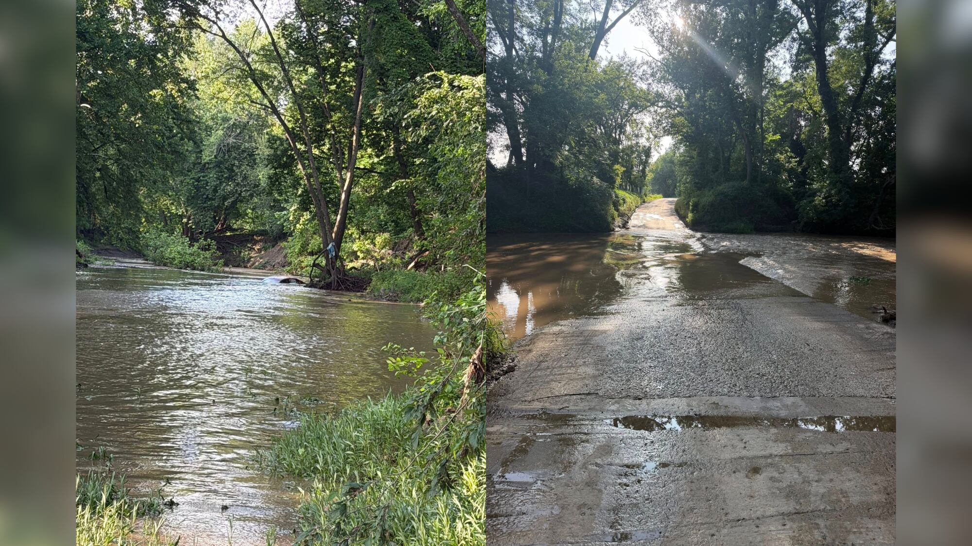 Driver, dog cling to tree for hours after car was swept away, officials say
