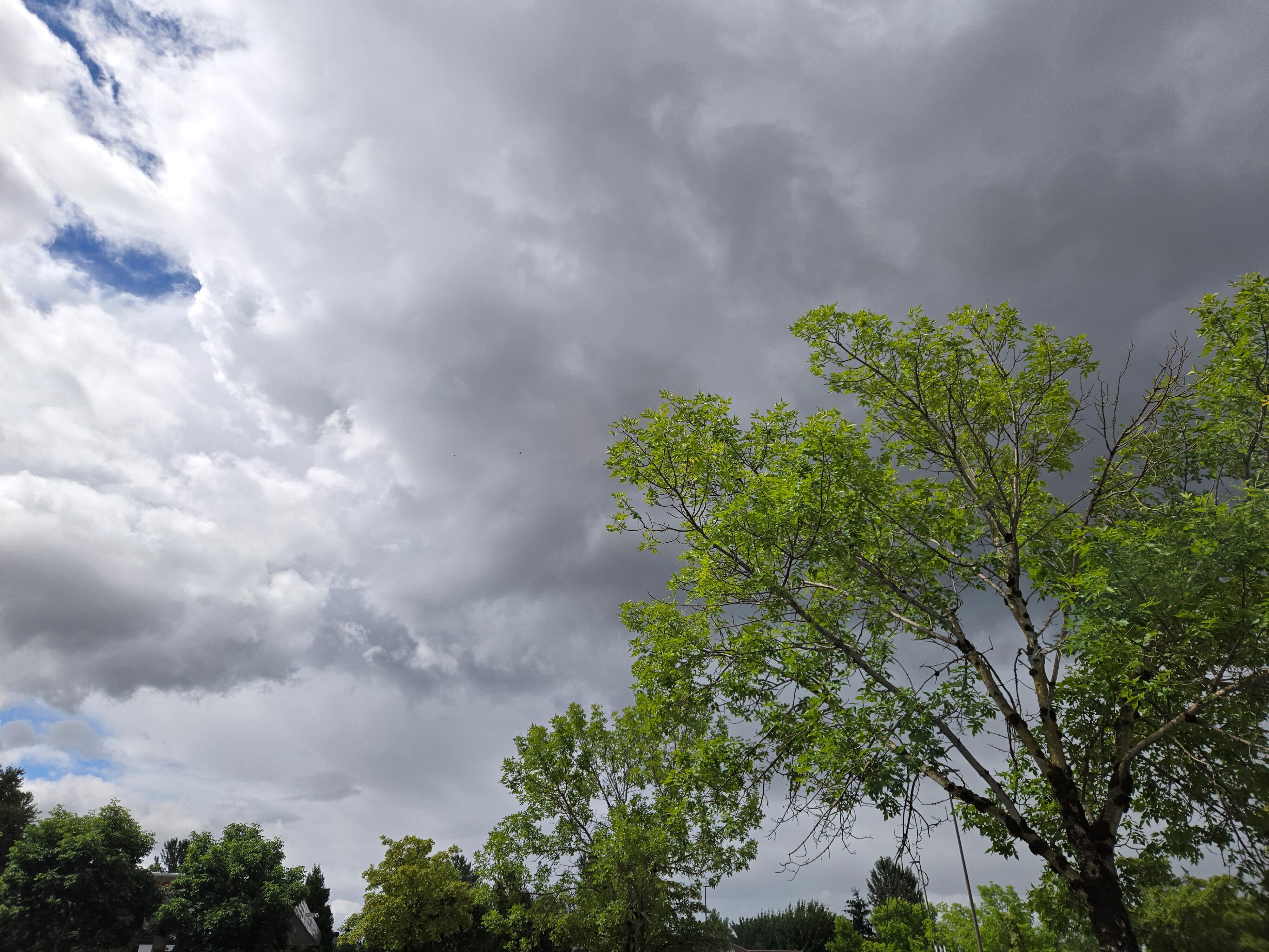 Man survives being struck by lightning while golfing