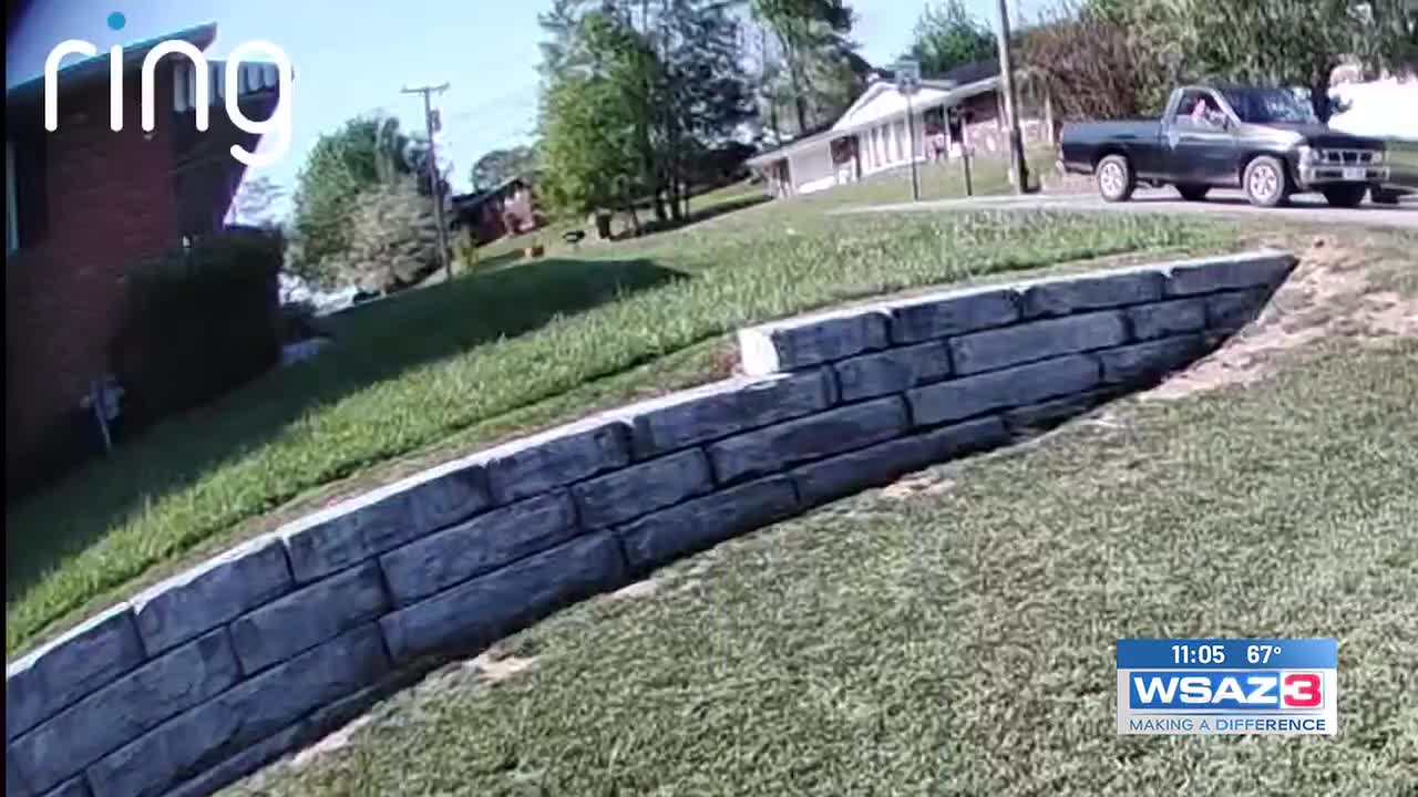 Deputies seek help identifying porch pirates