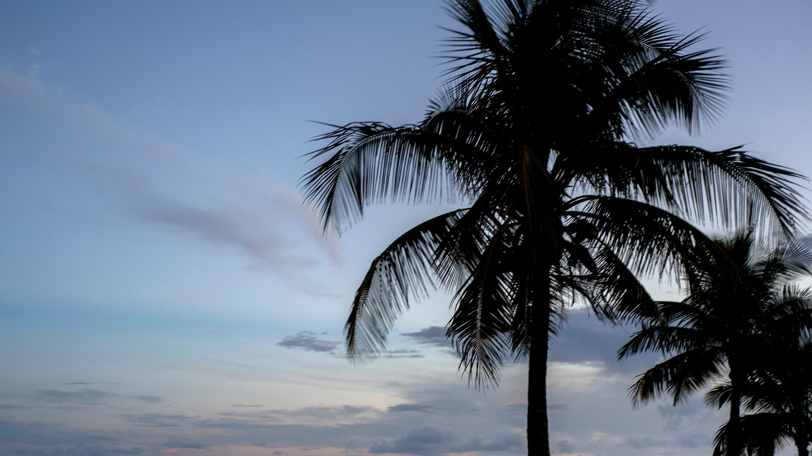 Woman reported missing after her husband says she fell overboard during Bahamas trip, officials say