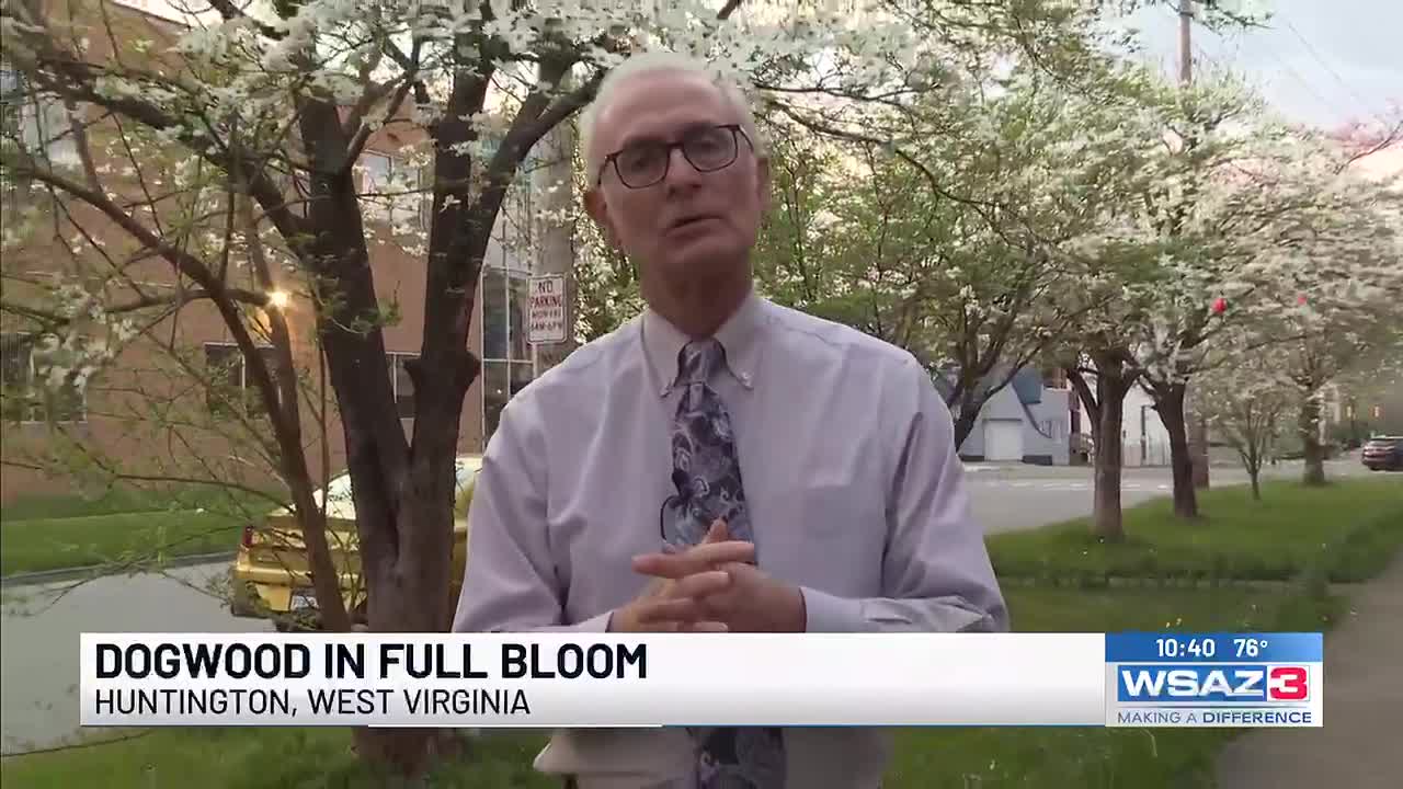 First Alert Forecast