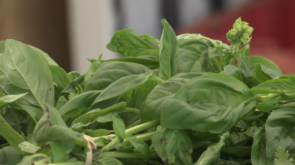 Lettuce sells out at farmers market amid concerns over ‘explosive diarrhea’ outbreak