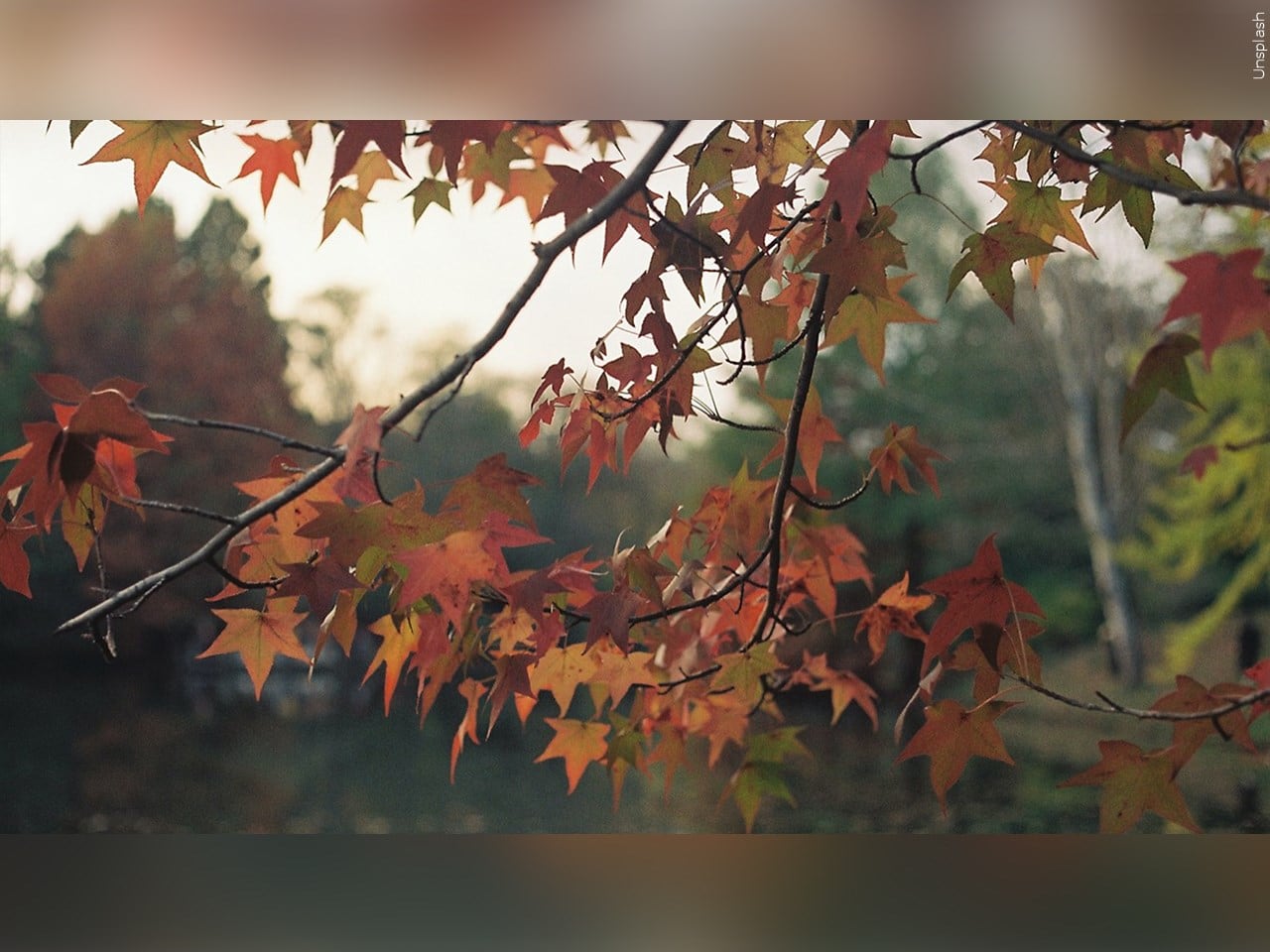 Weather Extra: More rain, alert worthy too