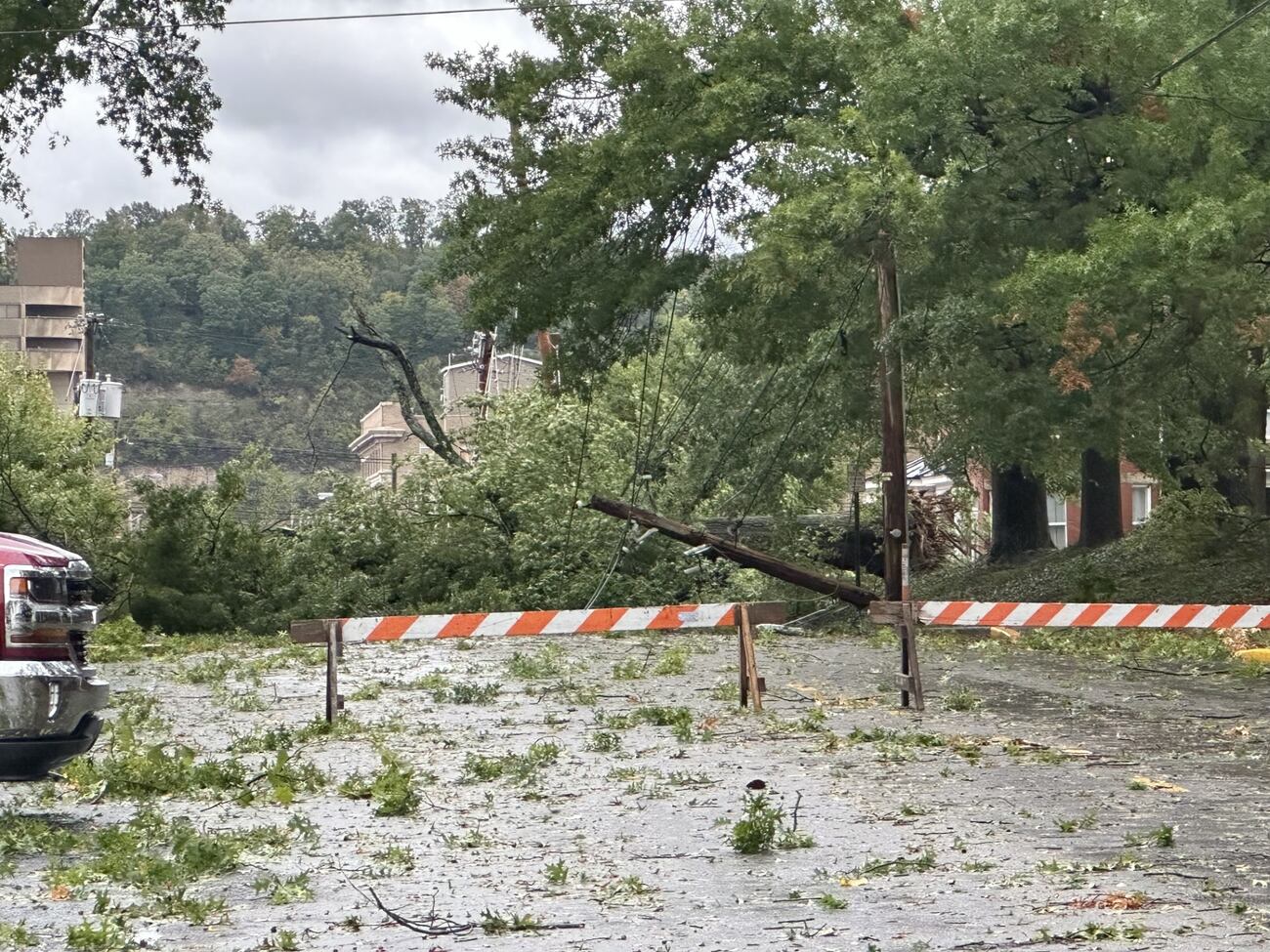 Trees down across Ashland