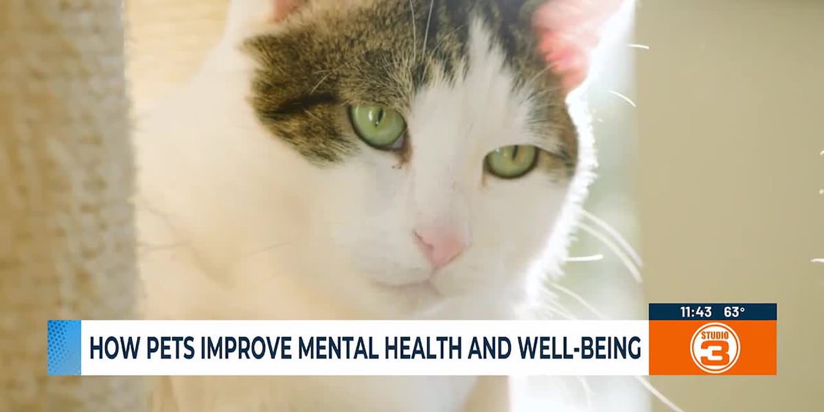Pawsitive Vibes Only: How Your Furry Friend Boosts Your Mental Wellbeing