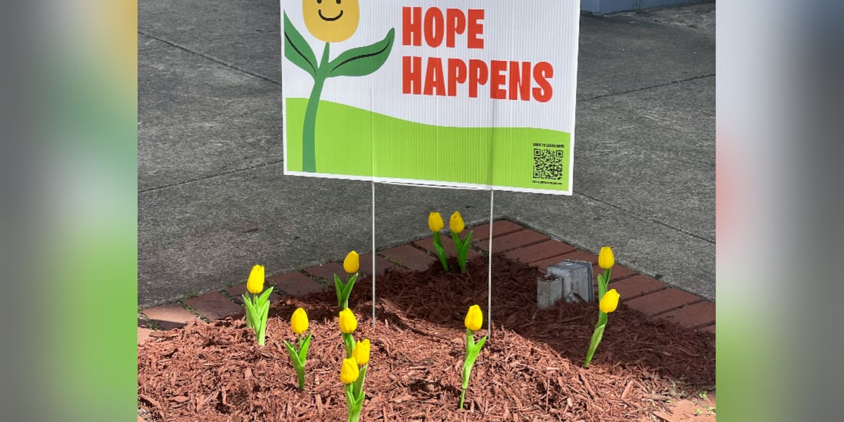 Lawrence County Shines a Light on Mental Health: Supporting Youth and Breaking Stigma