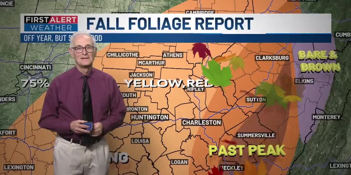 Gray Fall Weather First Alert Weather+ | Fall foliage finale