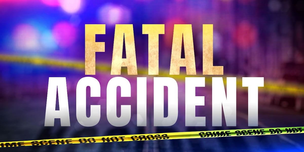 Coverage image for: One dead in crash on U.S. 119; southbound lanes reopened