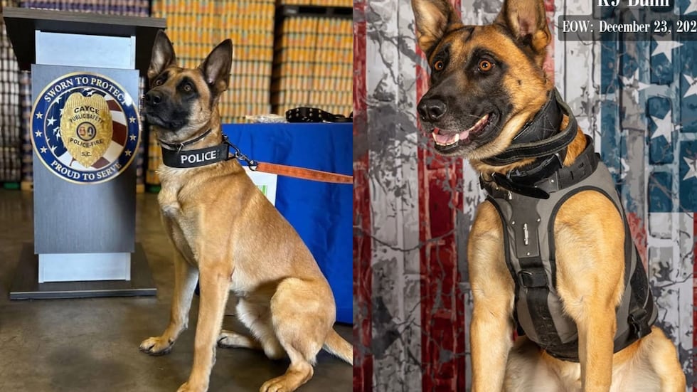 The K9, named Bumi, was shot at least two times while chasing the teens, the sheriff’s...