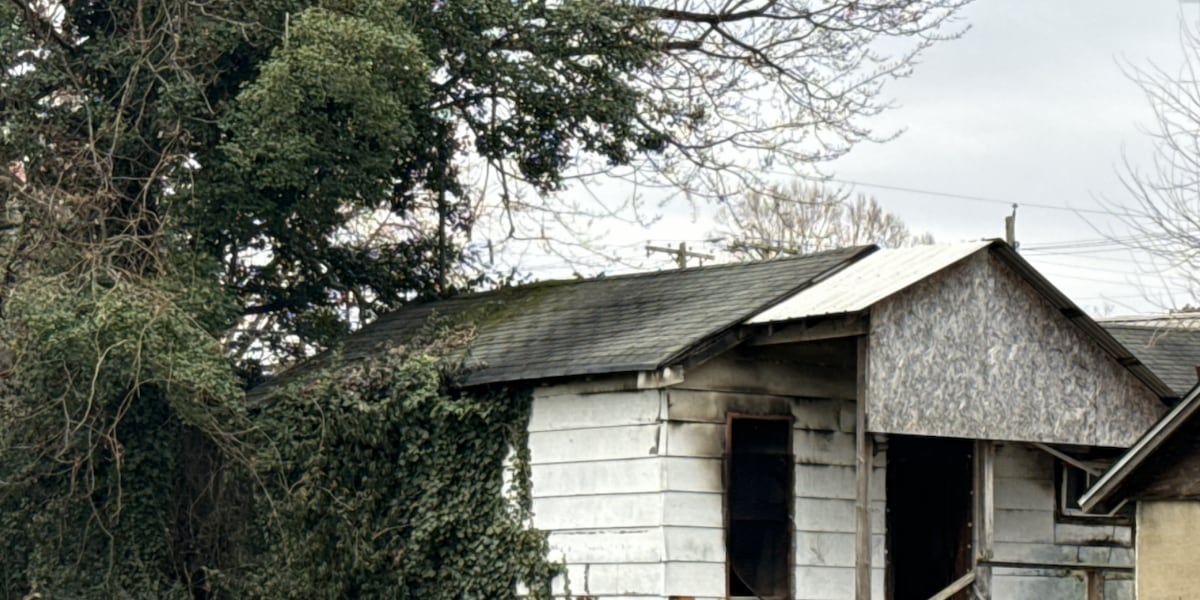 Three dead in abandoned house fire