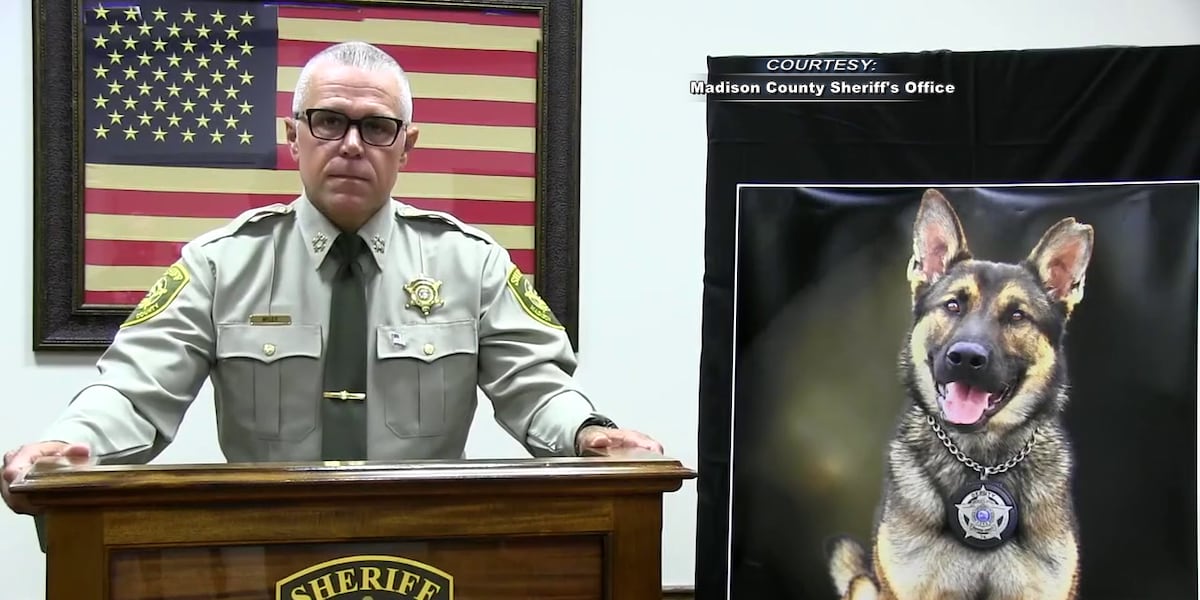 Coverage image for: K-9 left outside without water for 36 hours before he died from heatstroke, officials say