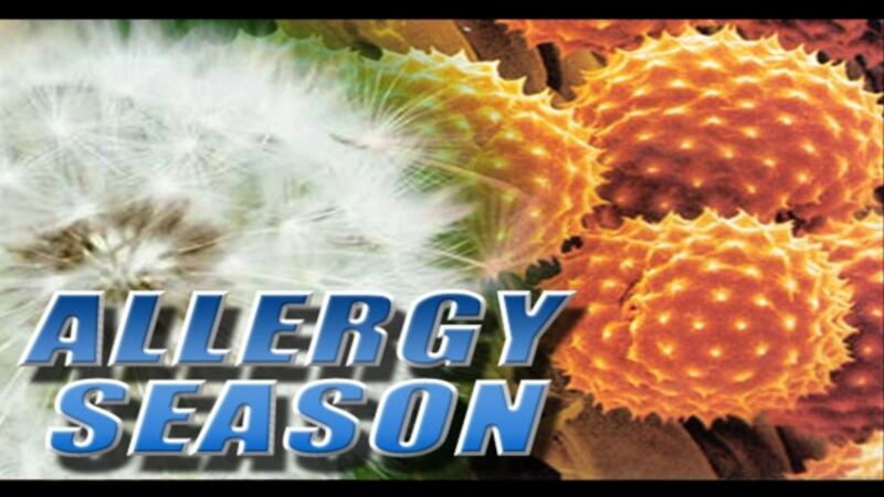 Spring Va Fall Allergy Spring allergy season off to early start
