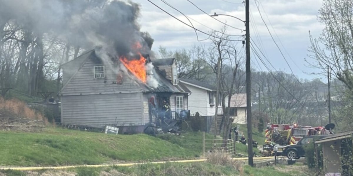 Pets rescued from house fire