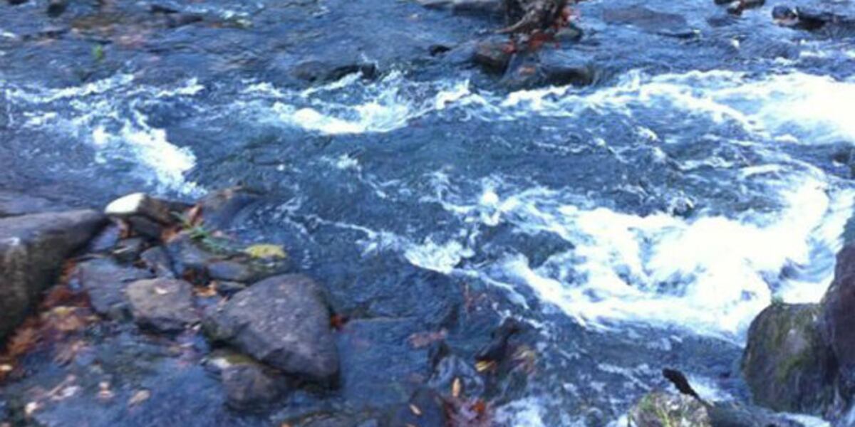 Stream Protection Rule UPDATE: U.S. Senate approves measure to overturn stream-protection rule