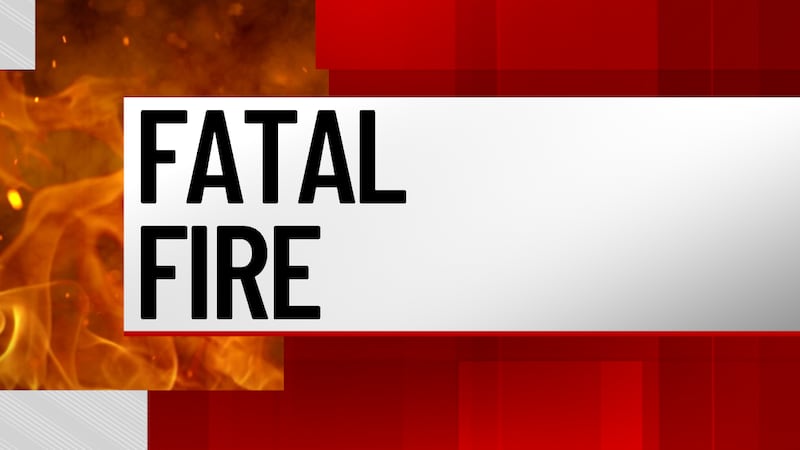 A man died Friday morning after a house fire along state Route 61 in Fayette County, West...