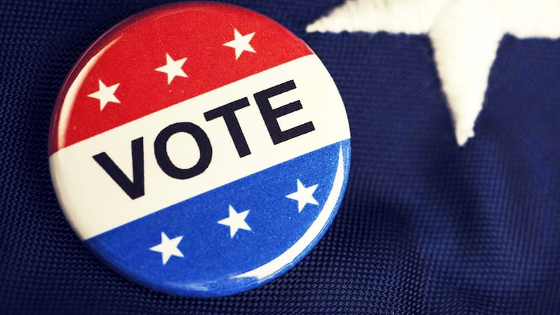 Read more below about this election year’s levies.