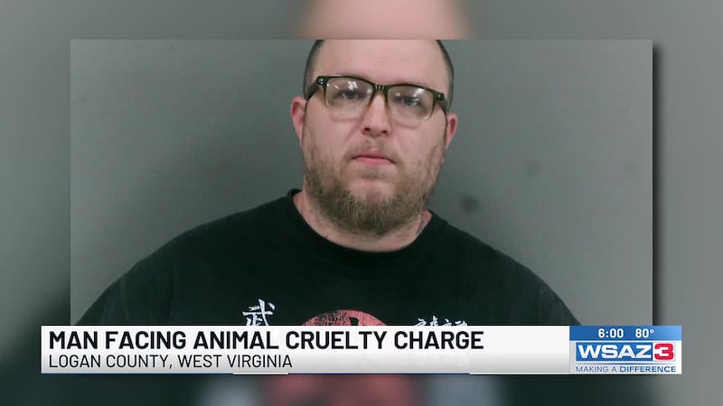 Deputies: Dog beaten to death by neighbor; man facing animal cruelty charge