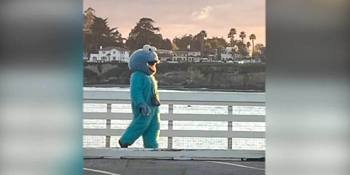 do not engage man dressed as cookie monster 'Do not engage' man dressed as Cookie Monster