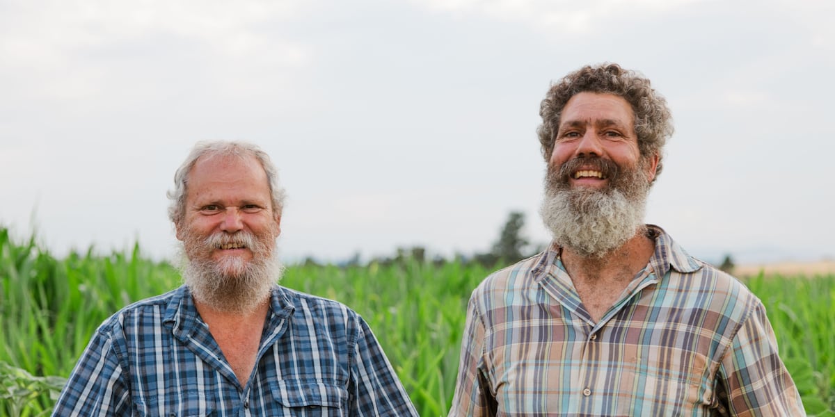 Brewing Locally Image