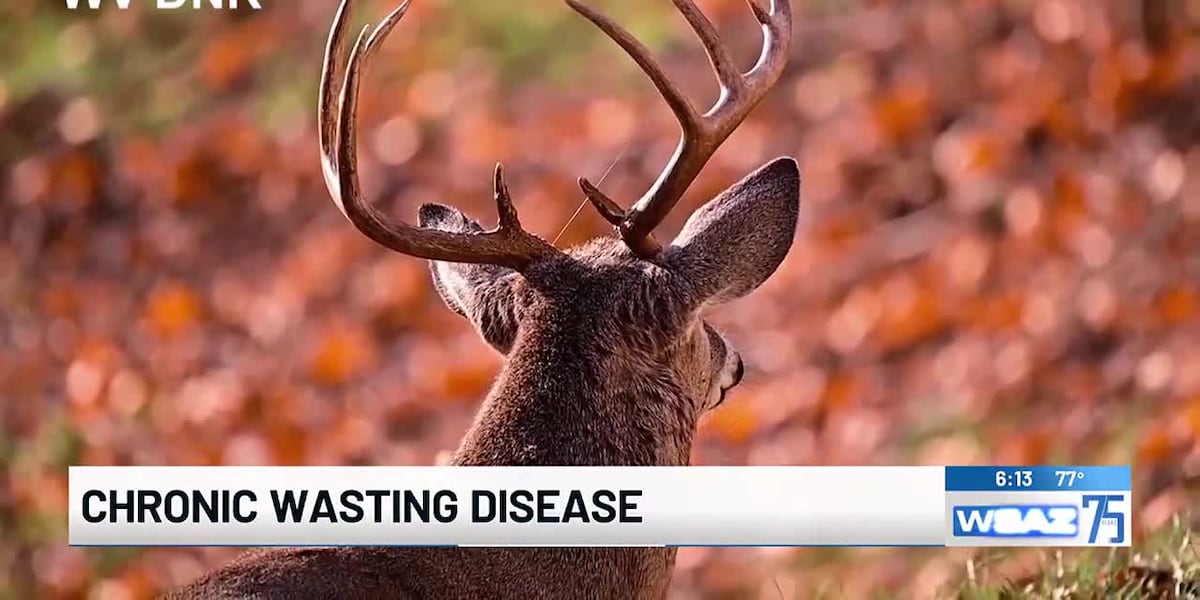 Chronic wasting disease spotted in West Virginia Chronic wasting disease spotted in West Virginia