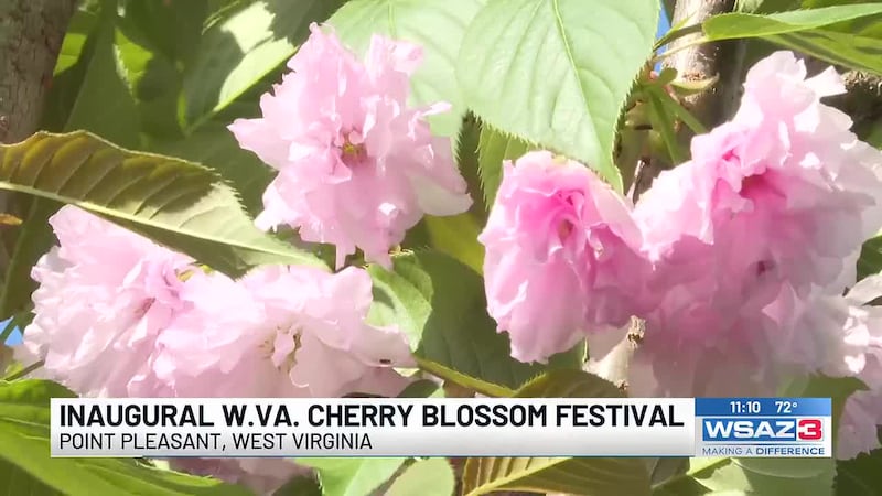 EVENTS GALORE, BRUSH FIRE RISK WEEKEND