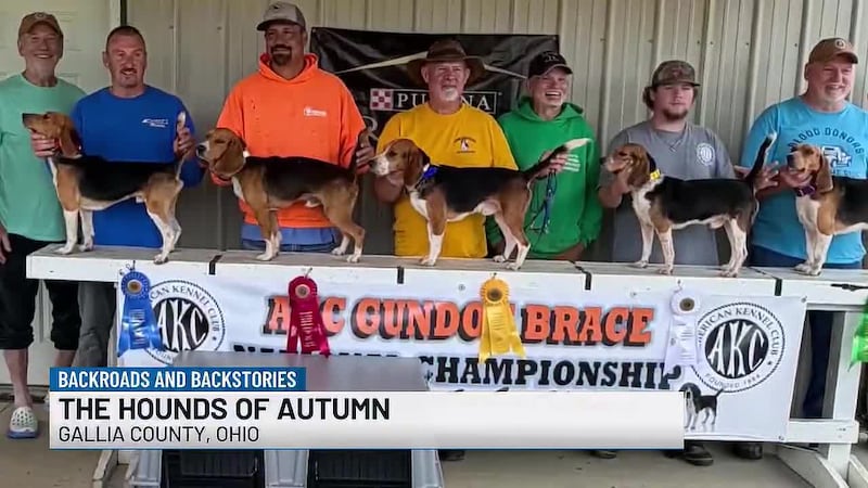 Andrew Colegrove looks into how the Huntington Beagle Club hosted the national championship...