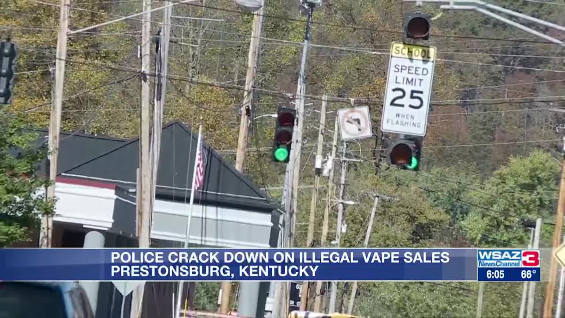 Police crack down on illegal vape sales Police crack down on illegal vape sales