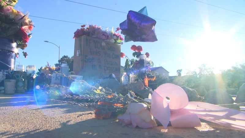 Family of 14-year-old Torrianne Mortensen speaks out after fatal Henderson e-scooter crash