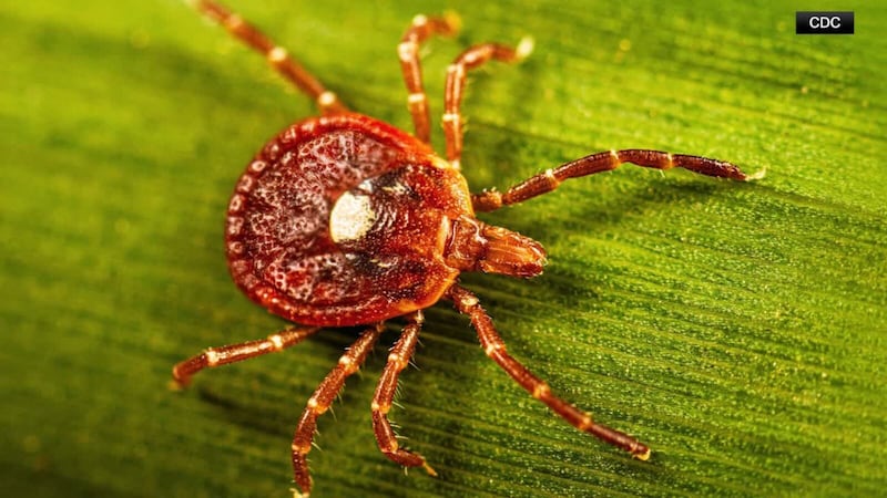 The 2024 death of a New Jersey man is believed to be the first documented death linked to a...